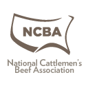NCBA Logo