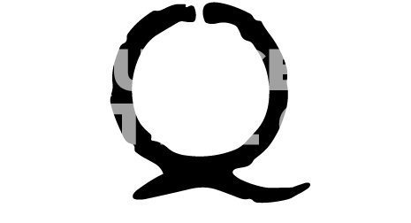 Quincey Cattle Co. Logo