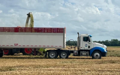 Harvest Time at the Ranch