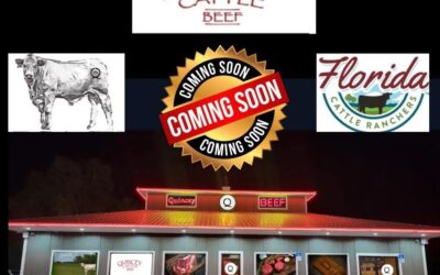 Quincey Cattle Beef is Moving & Expanding!