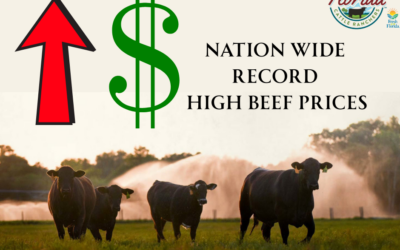 Transparency With High Beef Prices